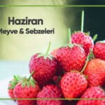Blog Haziran
