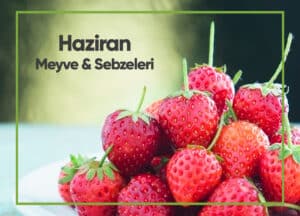 Blog Haziran