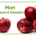 Blog Mart2026