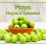 Blog Mayis 2026