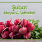 Blog Subat2026