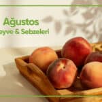 Blog Agustos