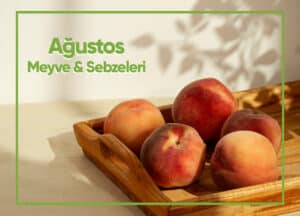 Blog Agustos