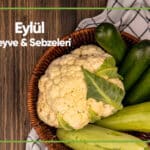 Blog Eylul