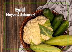Blog Eylul