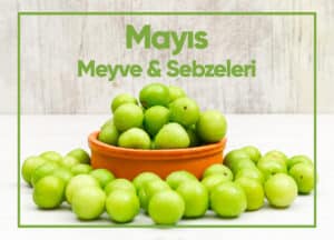 Blog Mayis 2026