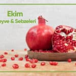 Blog EkimMeyveleriSebzeleri