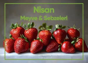 Blog Nisan2026