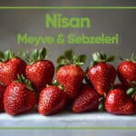 Blog Nisan2026